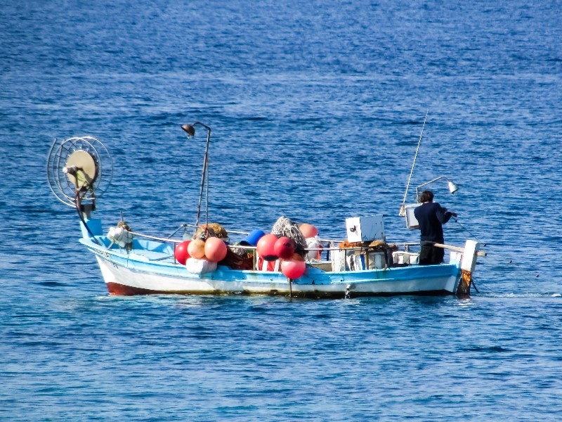 Βόλος: Ακατάλληλος για αλίευση ο Παγασητικός 